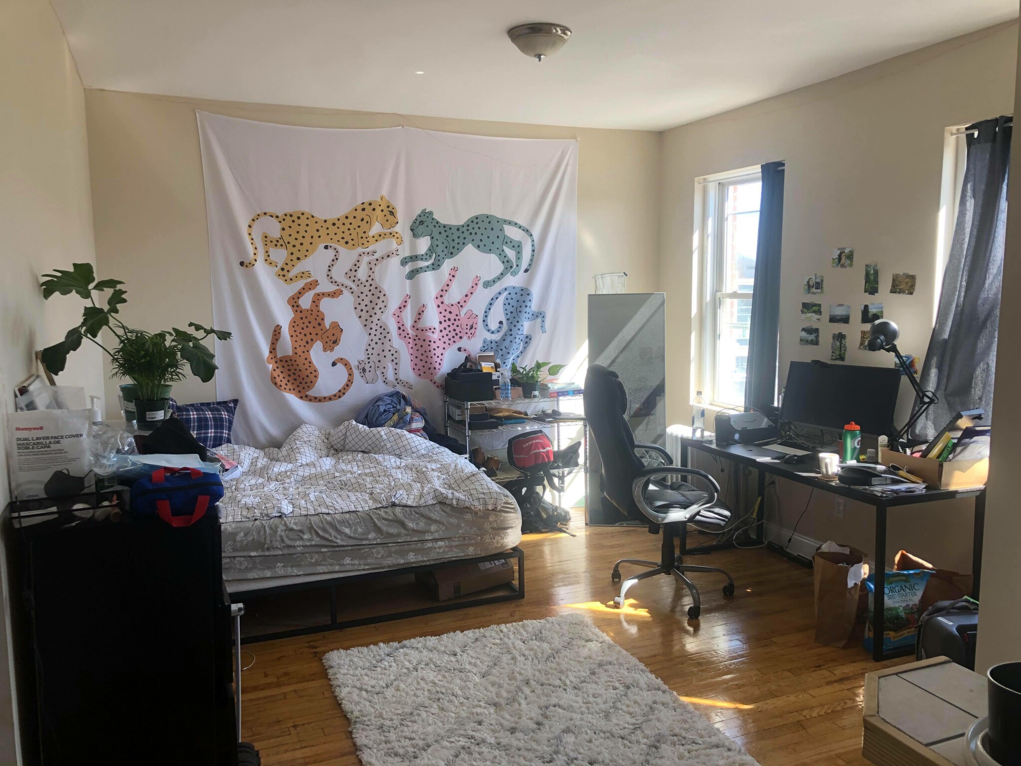 1189 Commonwealth Ave, Allston