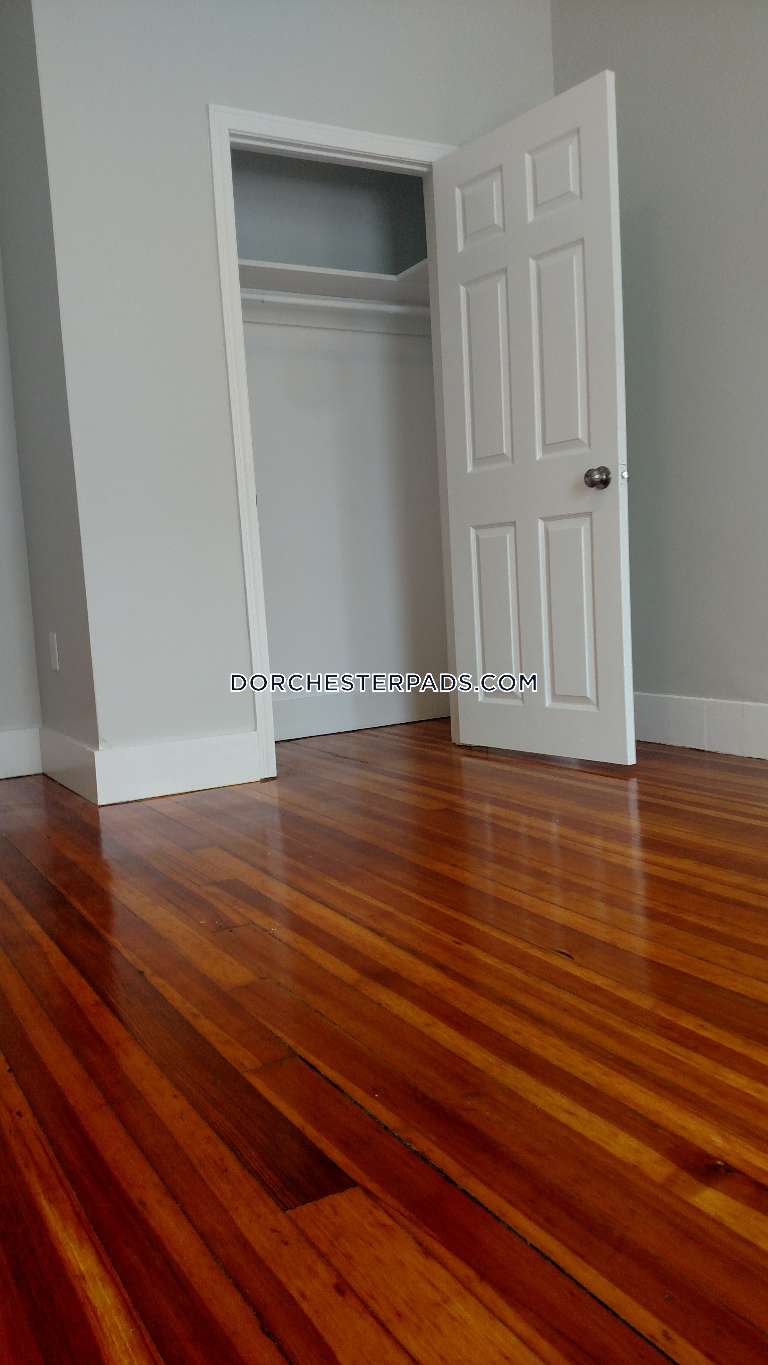 19 Peverell St, Dorchester