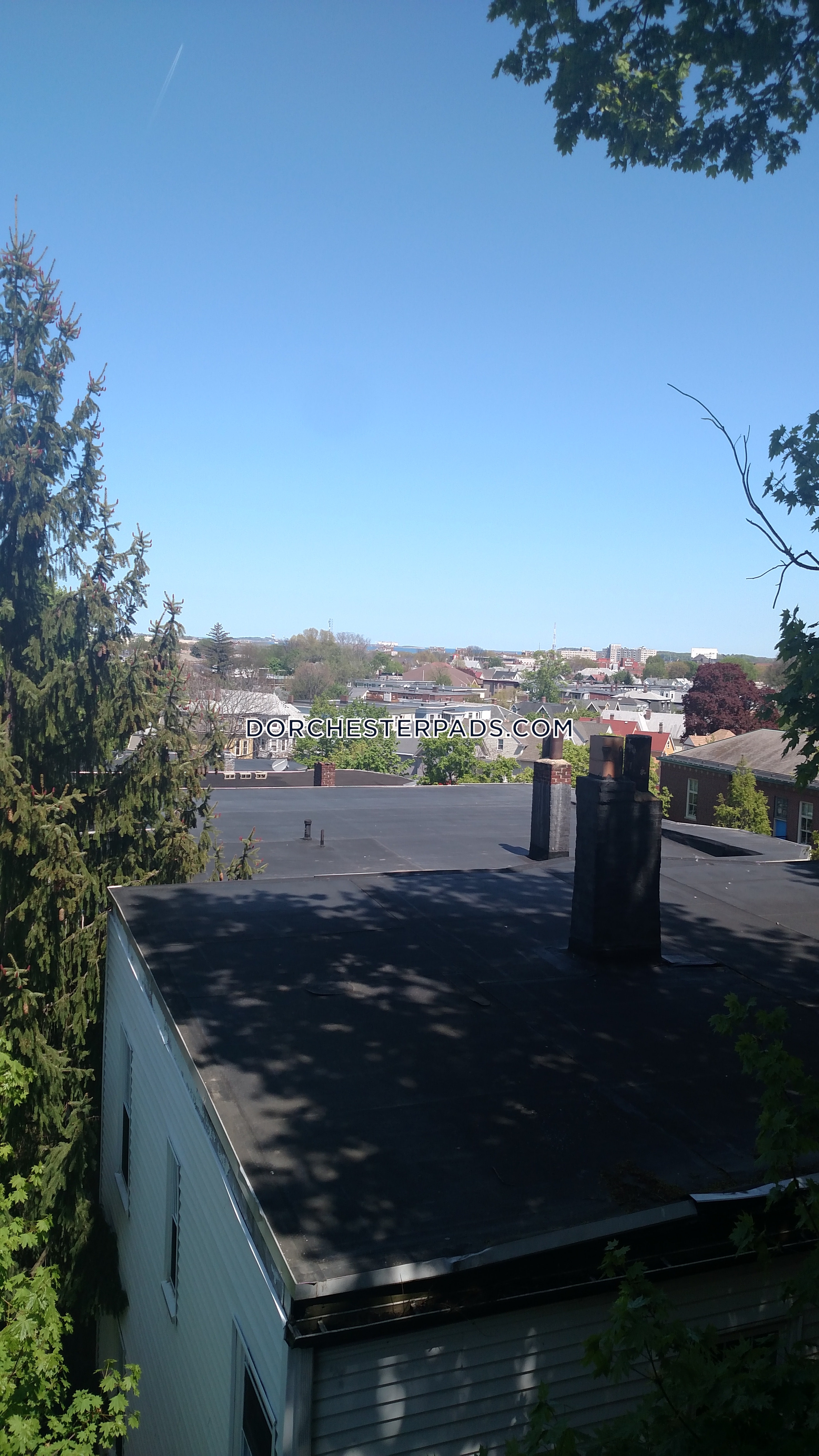 19 Peverell St, Dorchester