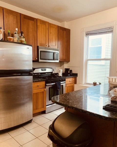 17 Sachem St, Mission Hill