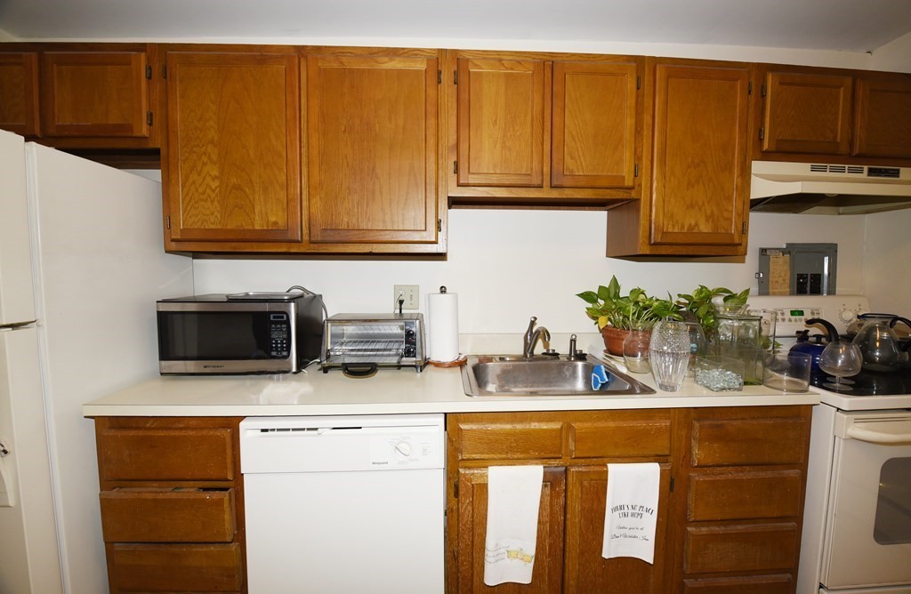 55 Colborne Rd, Brighton