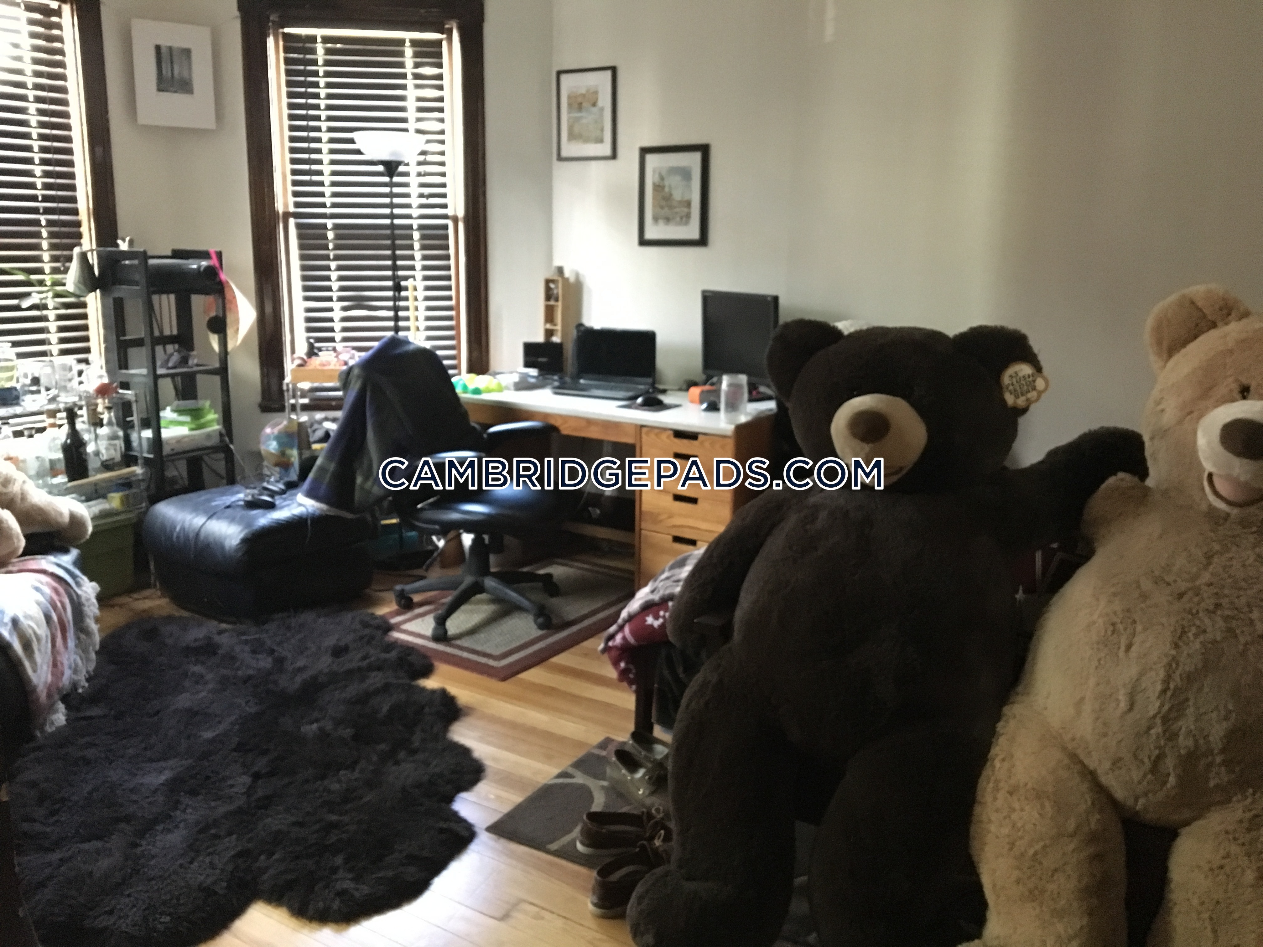 10 Clary St, Inman Square