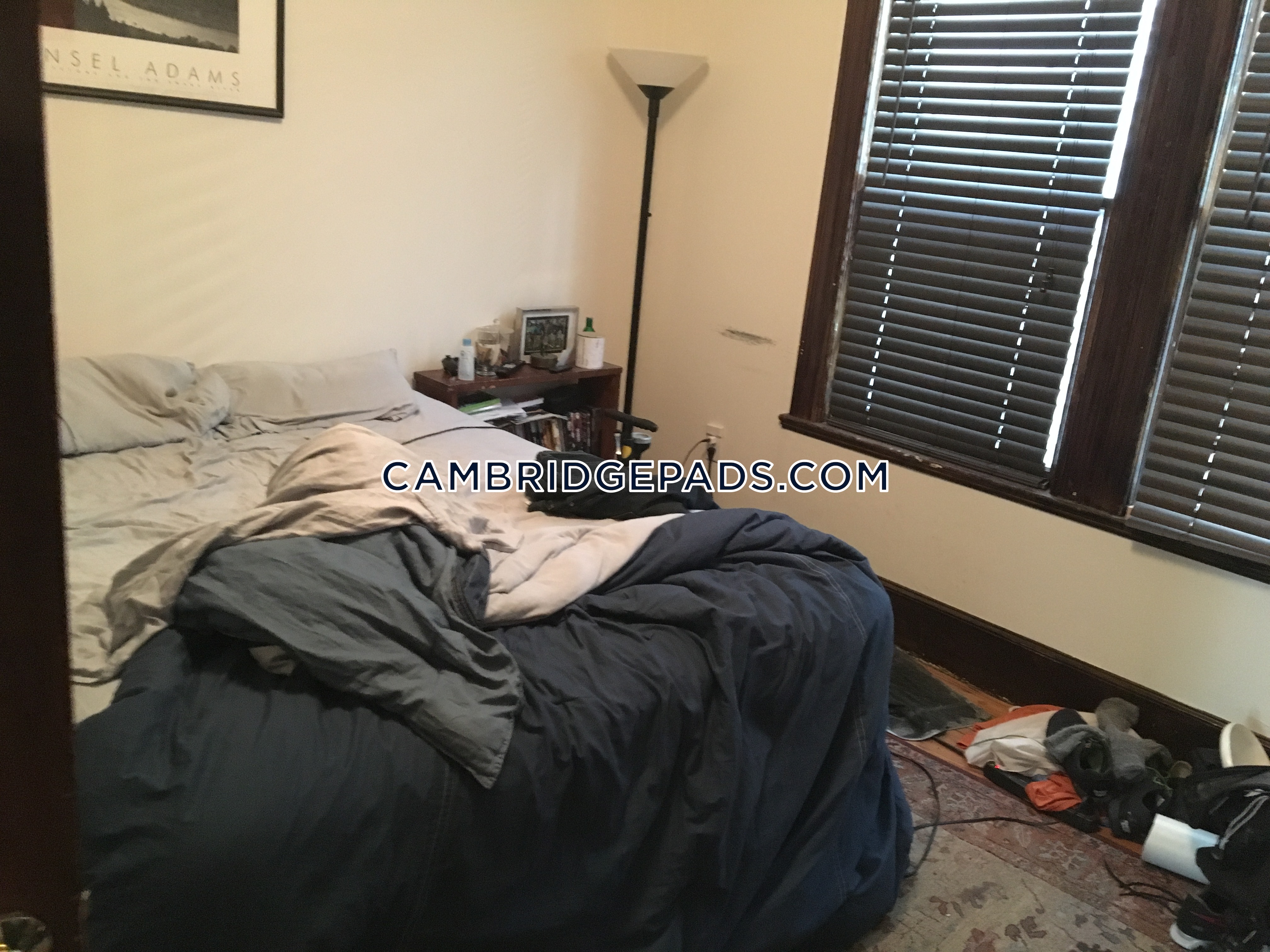 10 Clary St, Inman Square