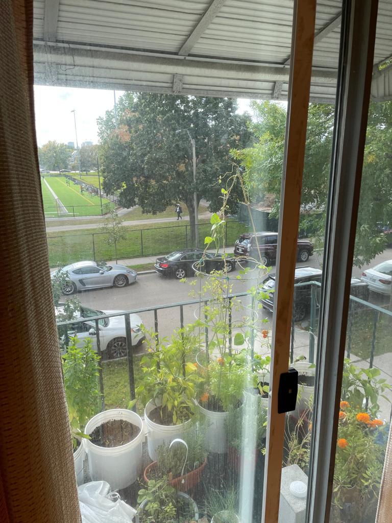 32 Fellsway, Winter Hill