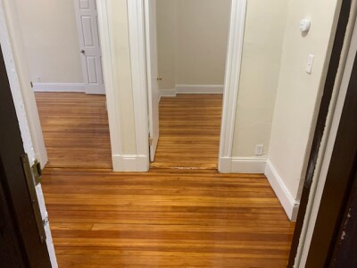 11 Mount Hood Rd, Brighton