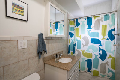 66 Mozart St, Jamaica Plain