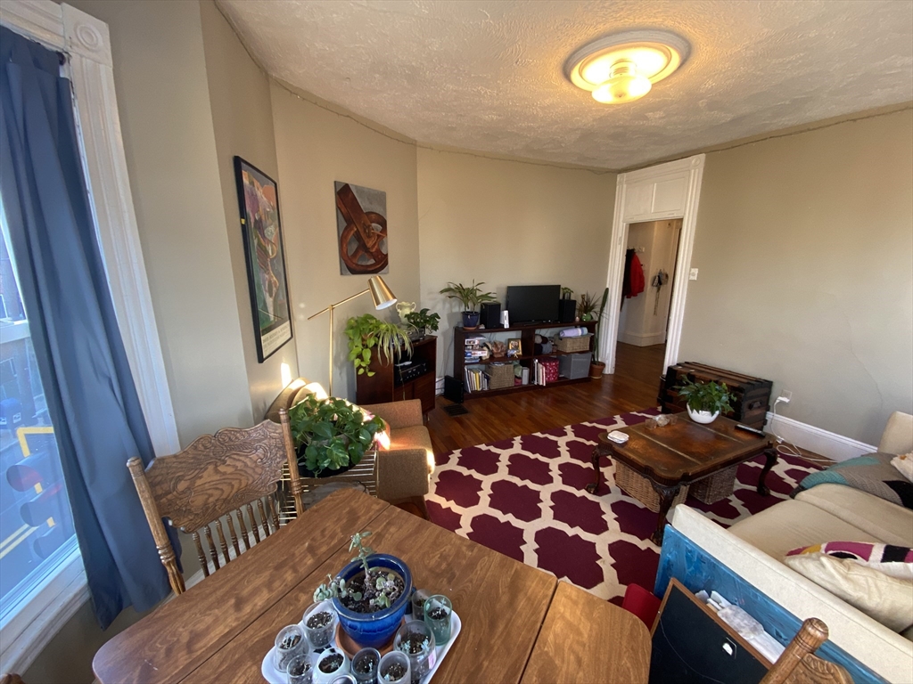 59 Cedar St, Spring Hill