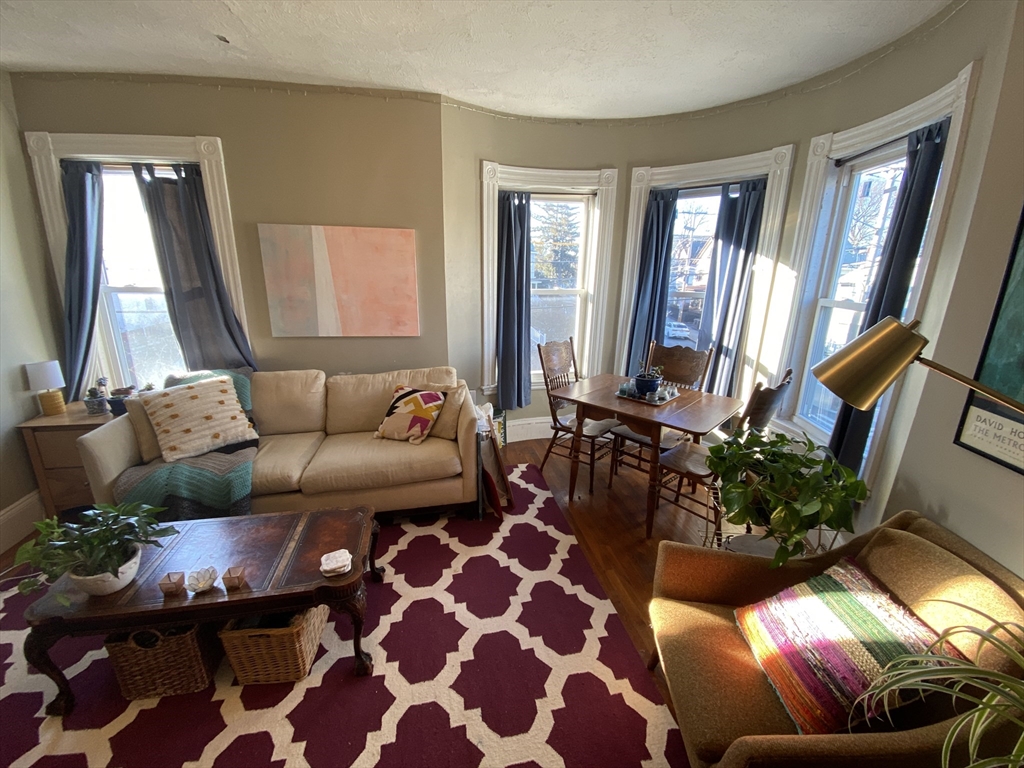 59 Cedar St, Spring Hill