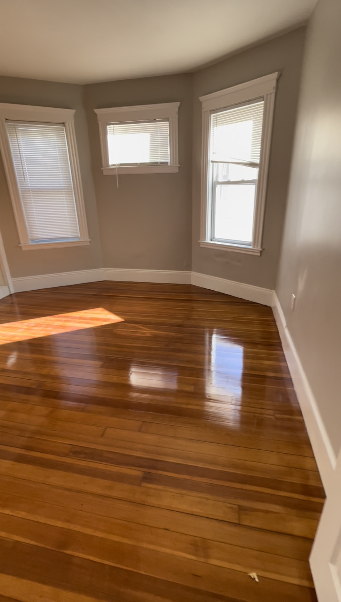 28 Juliette St, Dorchester