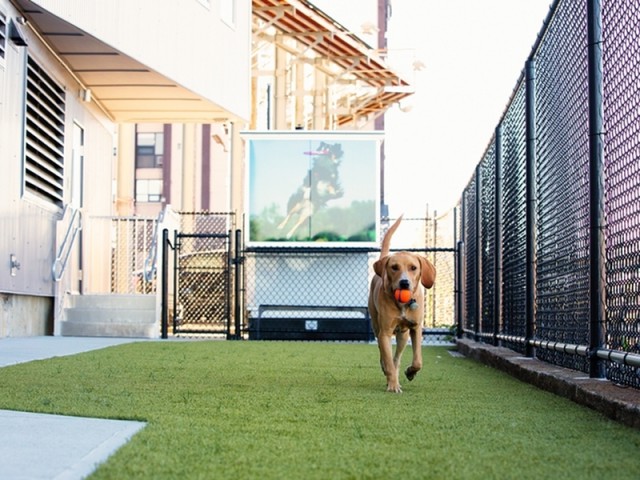 75 Braintree St, Allston