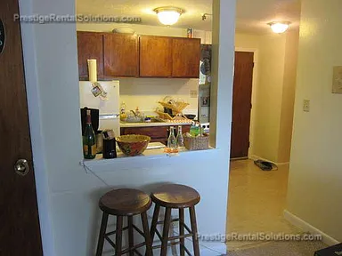 231 Harrison Ave, Chinatown