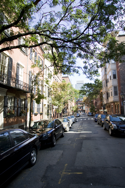 5 Phillips St, Beacon Hill