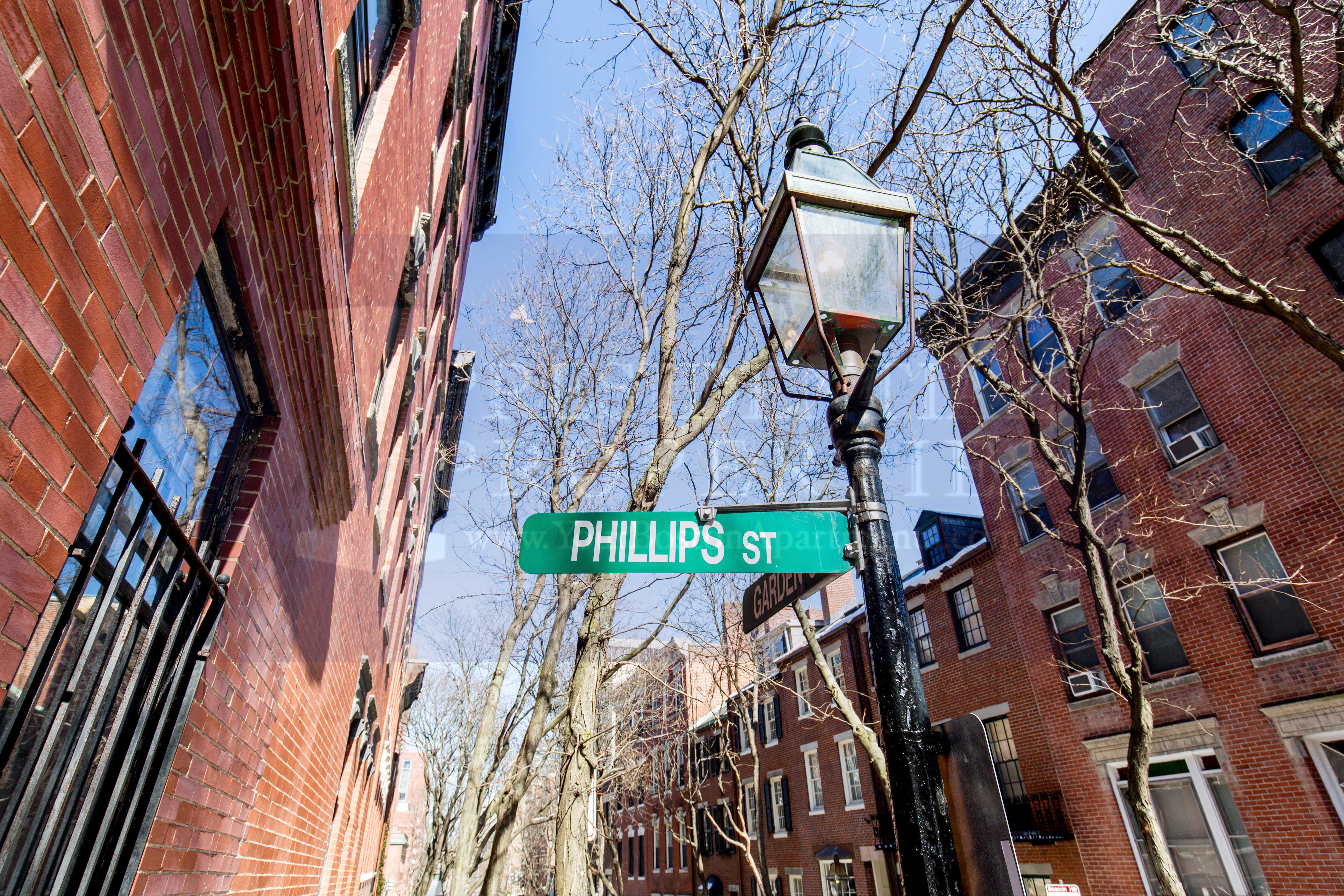 5 Phillips St, Beacon Hill