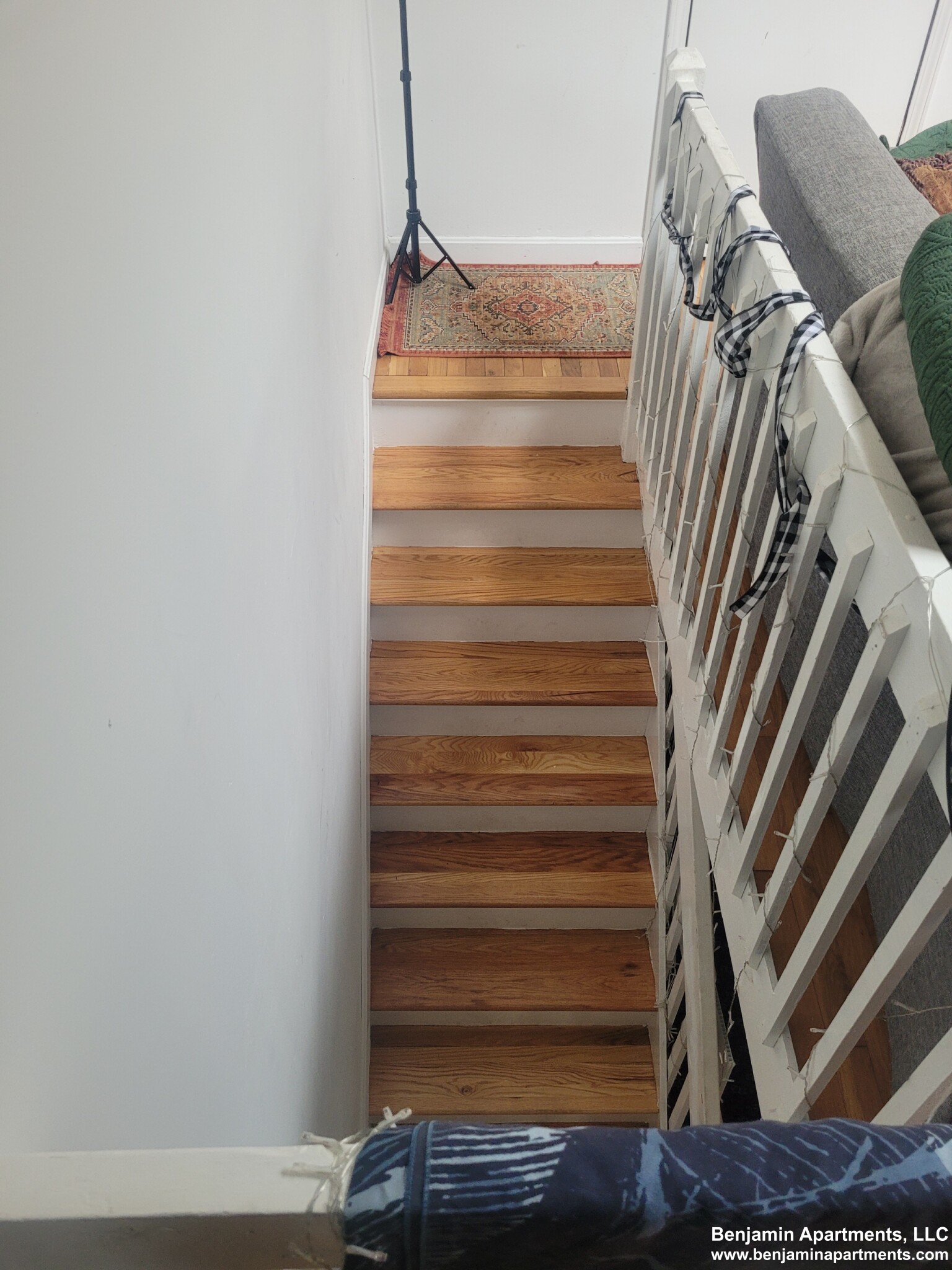 6 Shepard St, Brighton