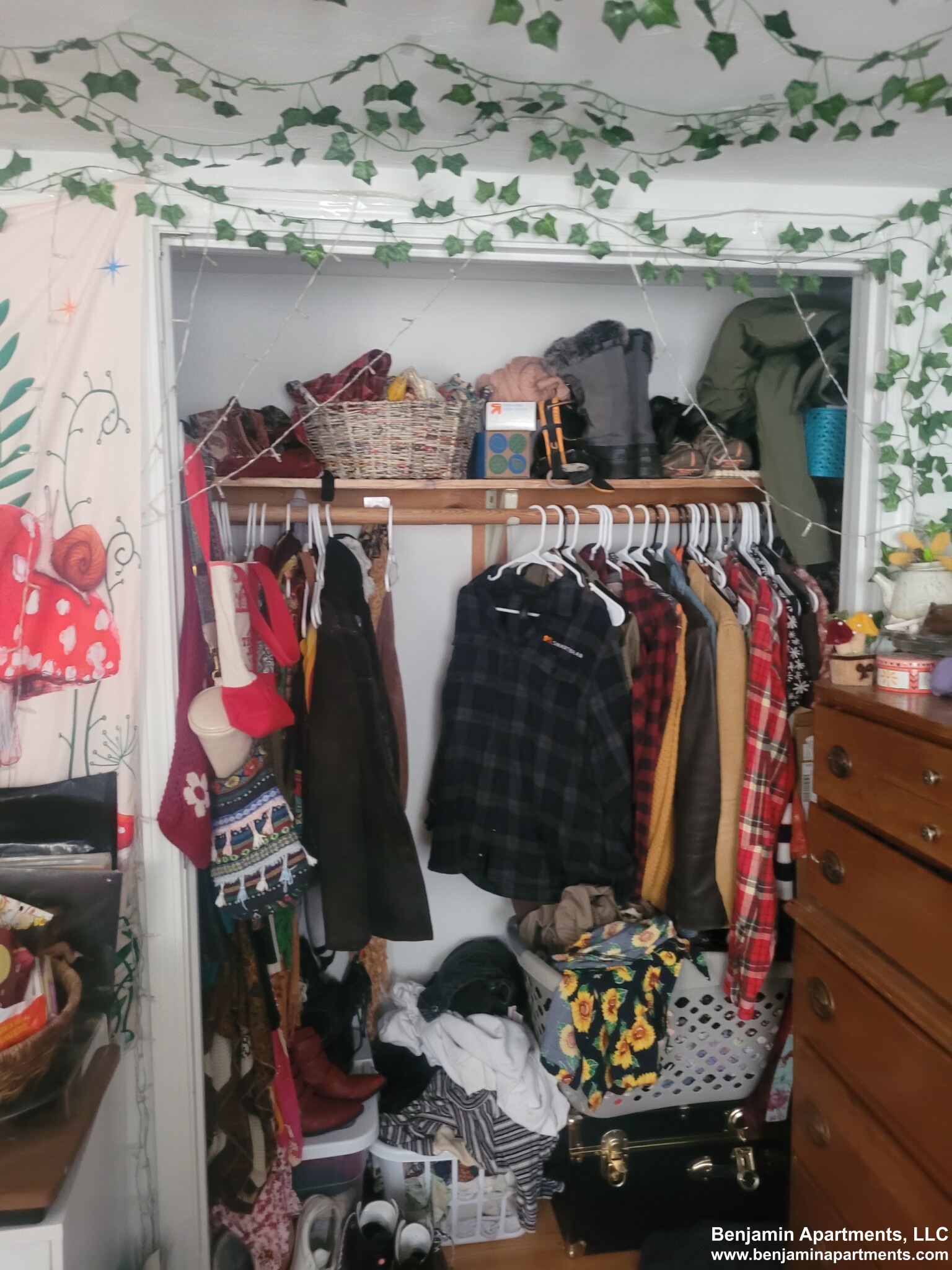 6 Shepard St, Brighton