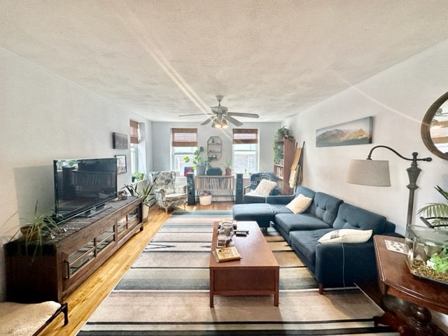 10 Harris St, North End