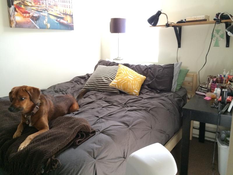 1209 Boylston St, Fenway