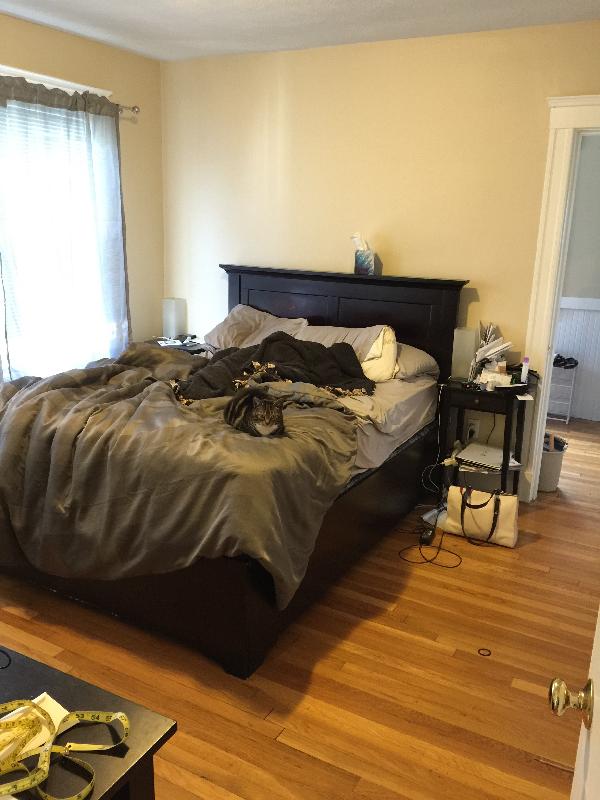 9 Arlington, East Somerville