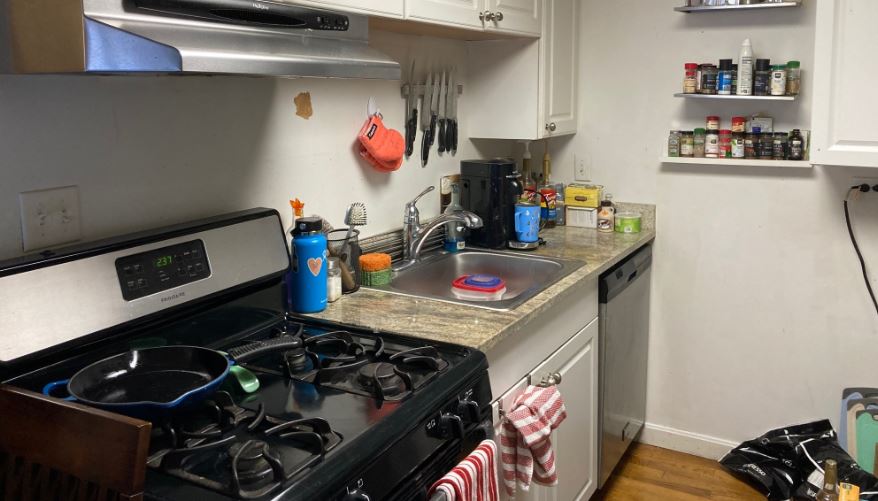 32 Irving St, Beacon Hill