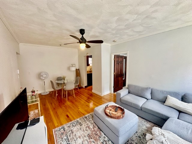 136 Prince St, North End