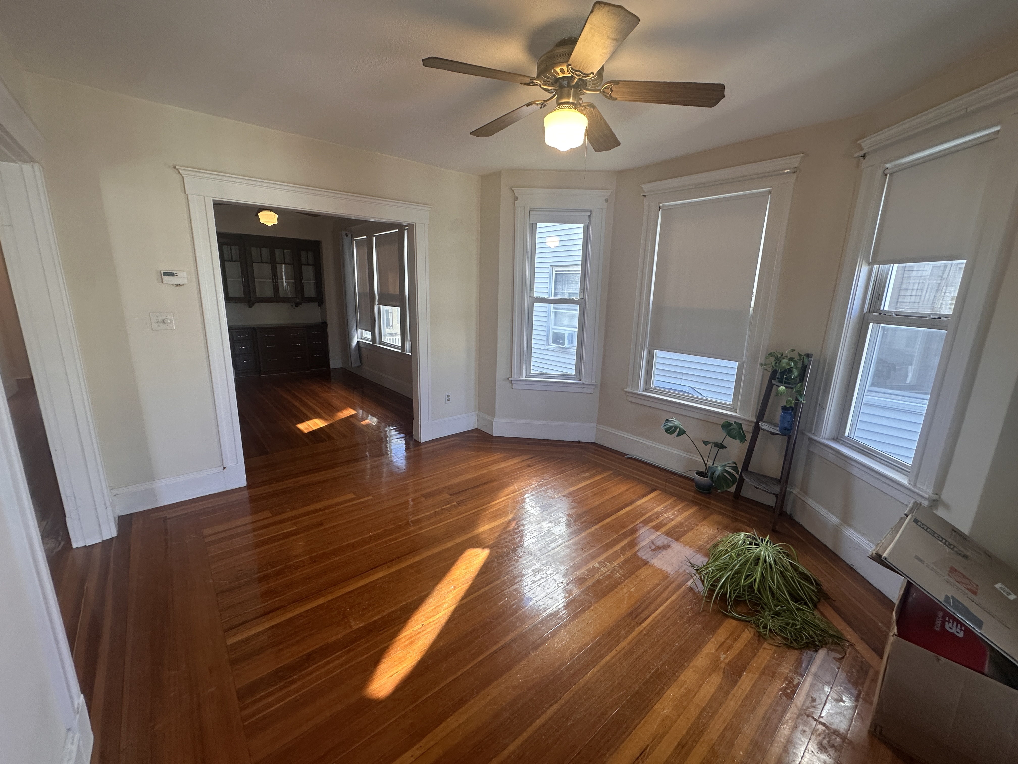 39 Magnus Ave, Ward Two