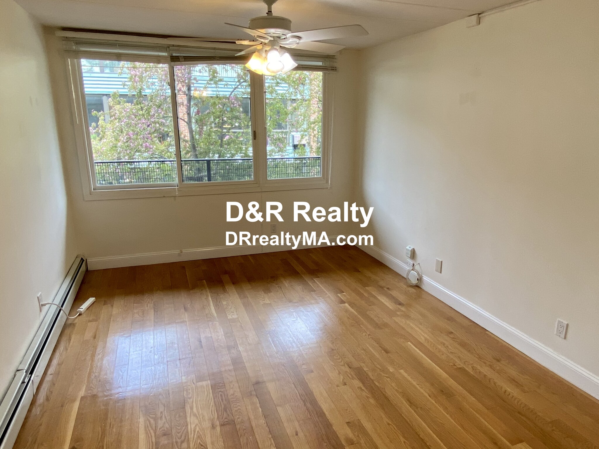 345 Harvard St, Harvard Square