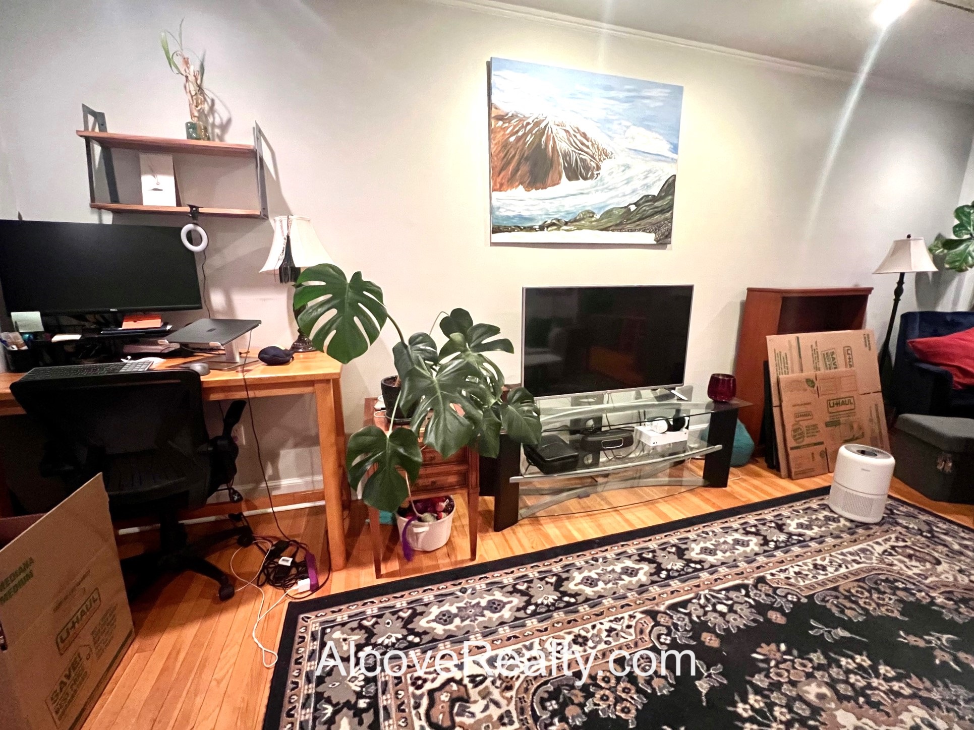 54 Concord Ave, Observatory Hill