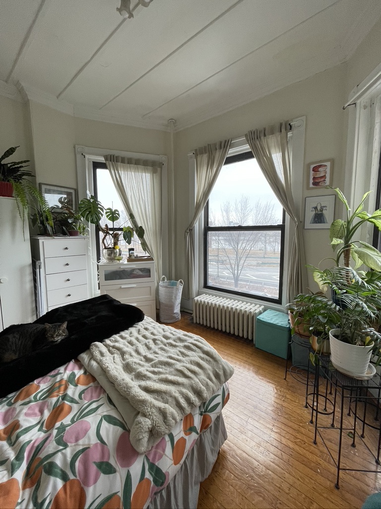 41 Bay State Rd, Fenway