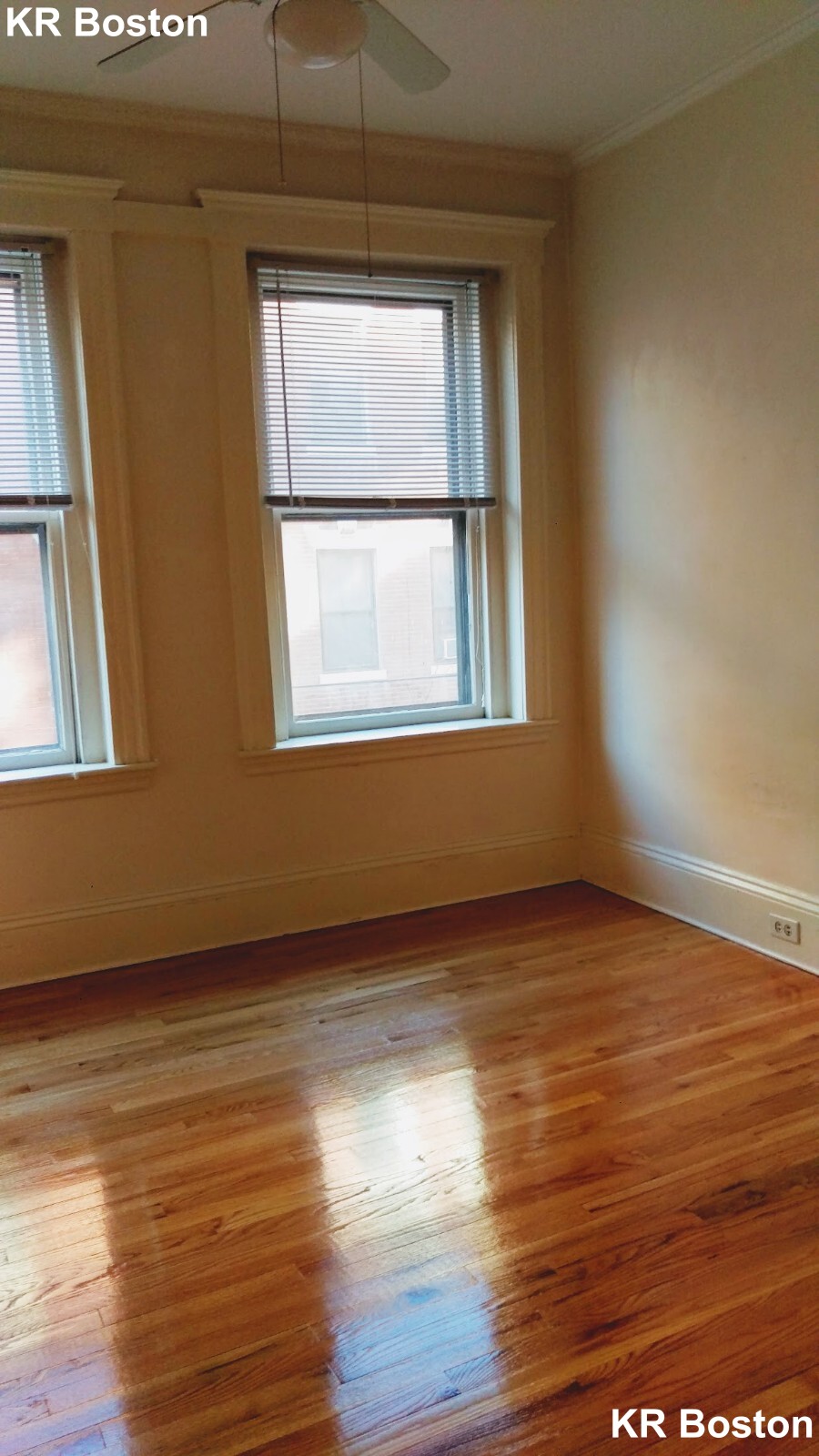 61 Myrtle St, Beacon Hill