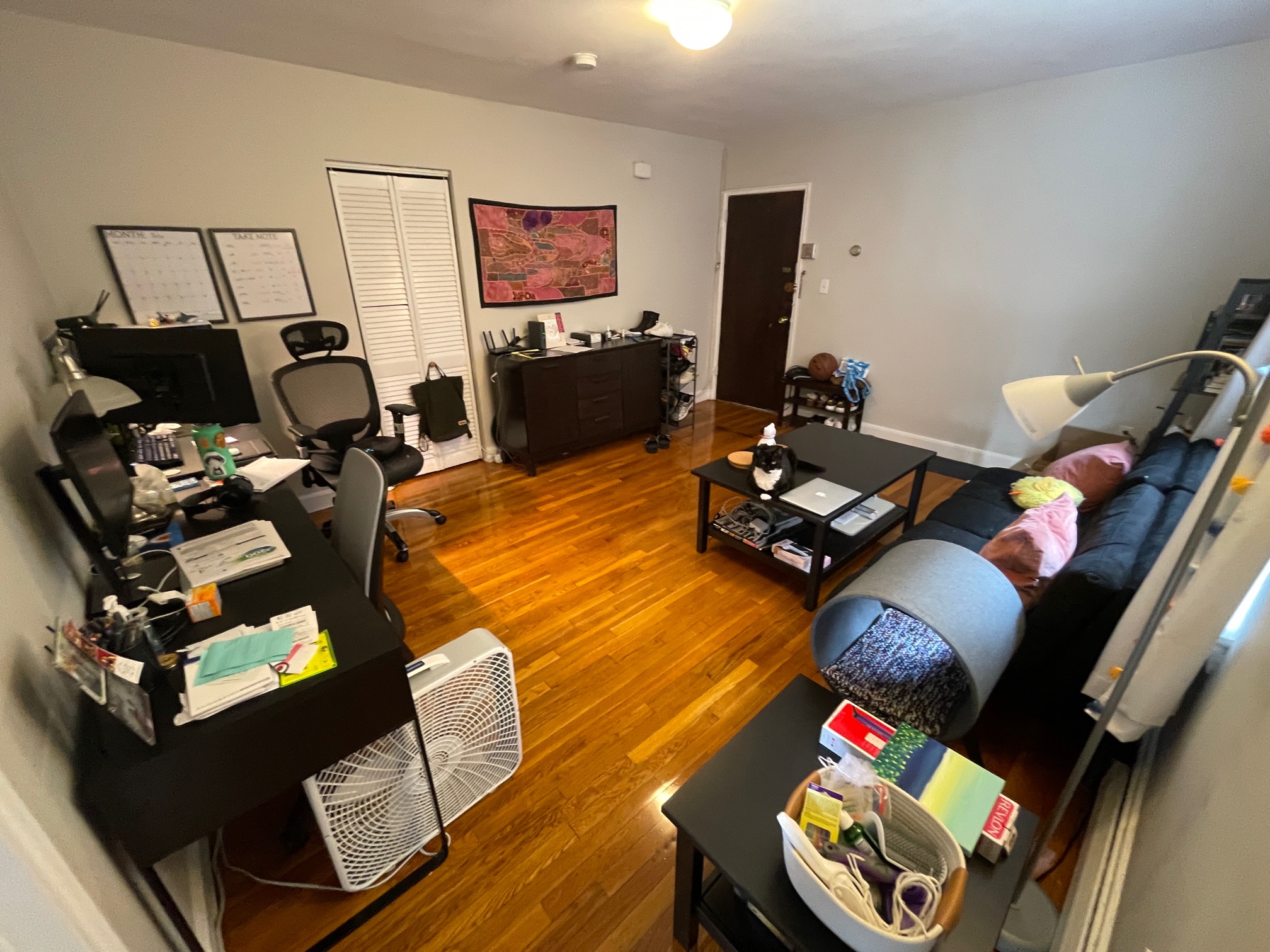 61 Selkirk Rd,, Brighton