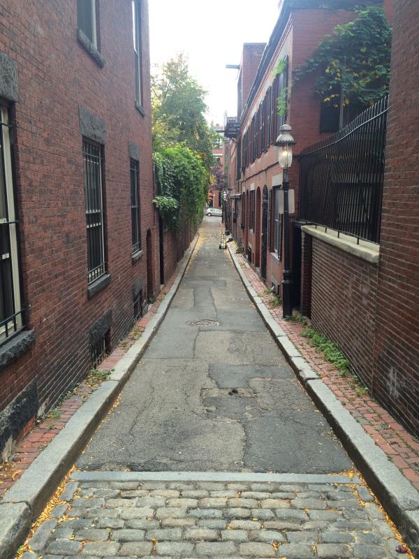 16 Cedar Lane Way, Beacon Hill