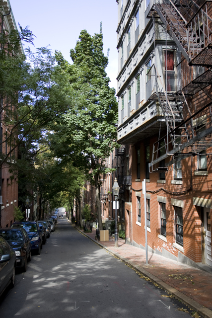 16 Russell St, Beacon Hill