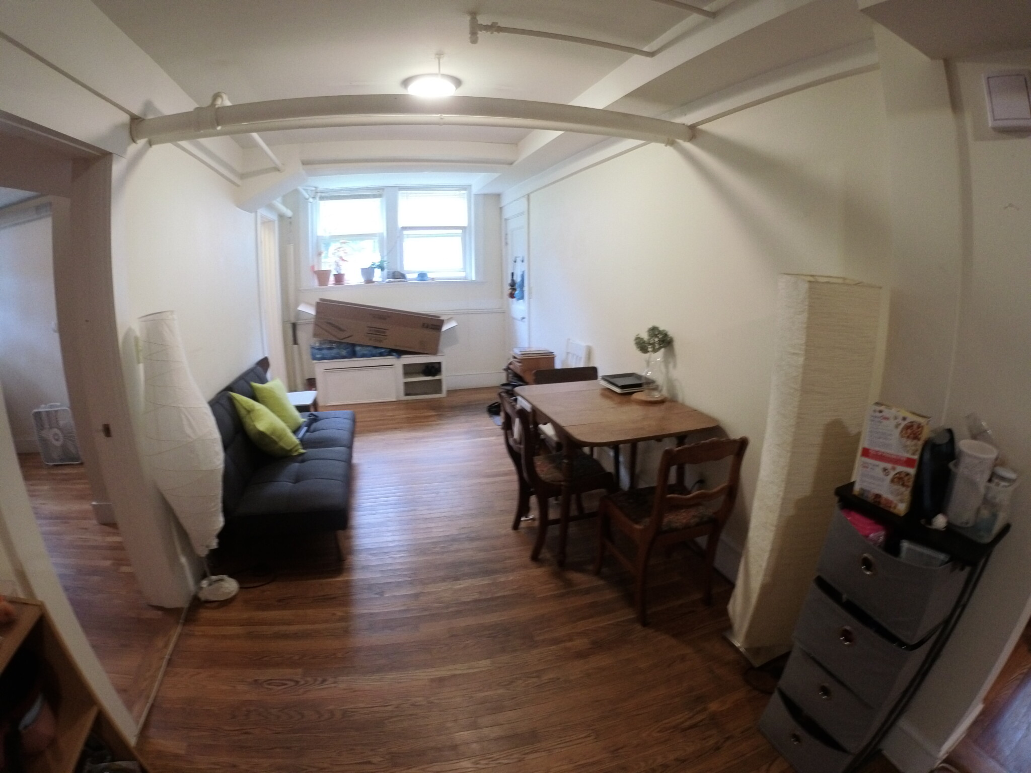 241 Freeman St, North Brookline