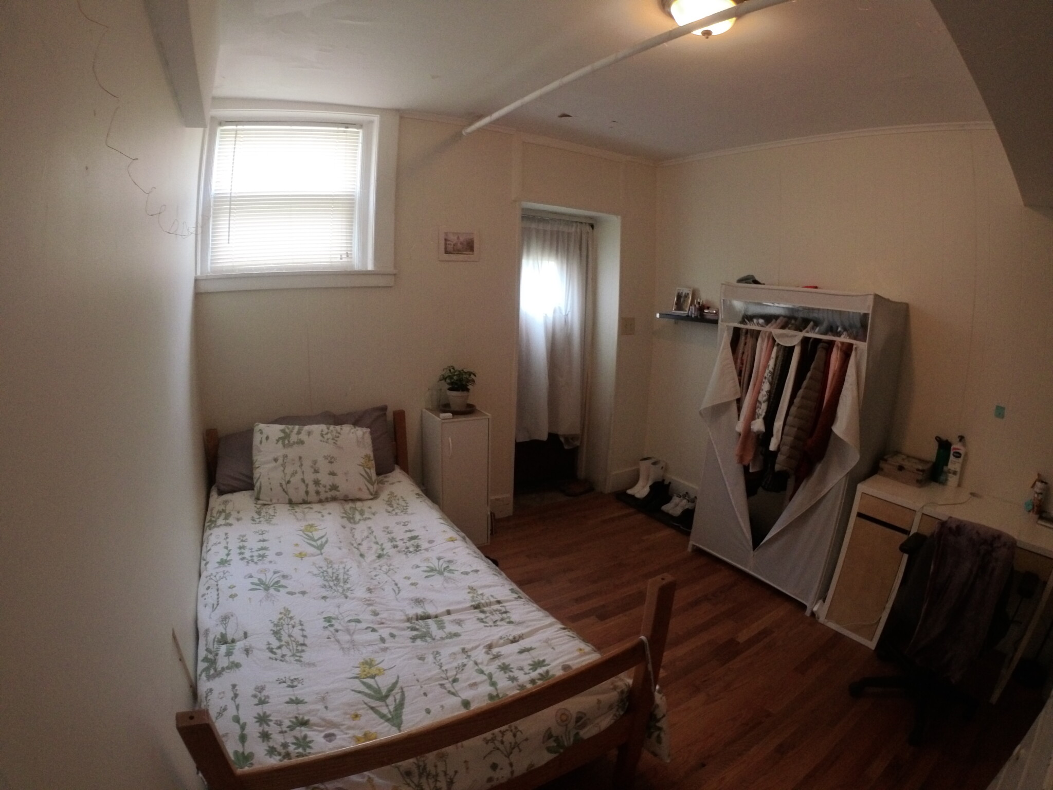 241 Freeman St, North Brookline