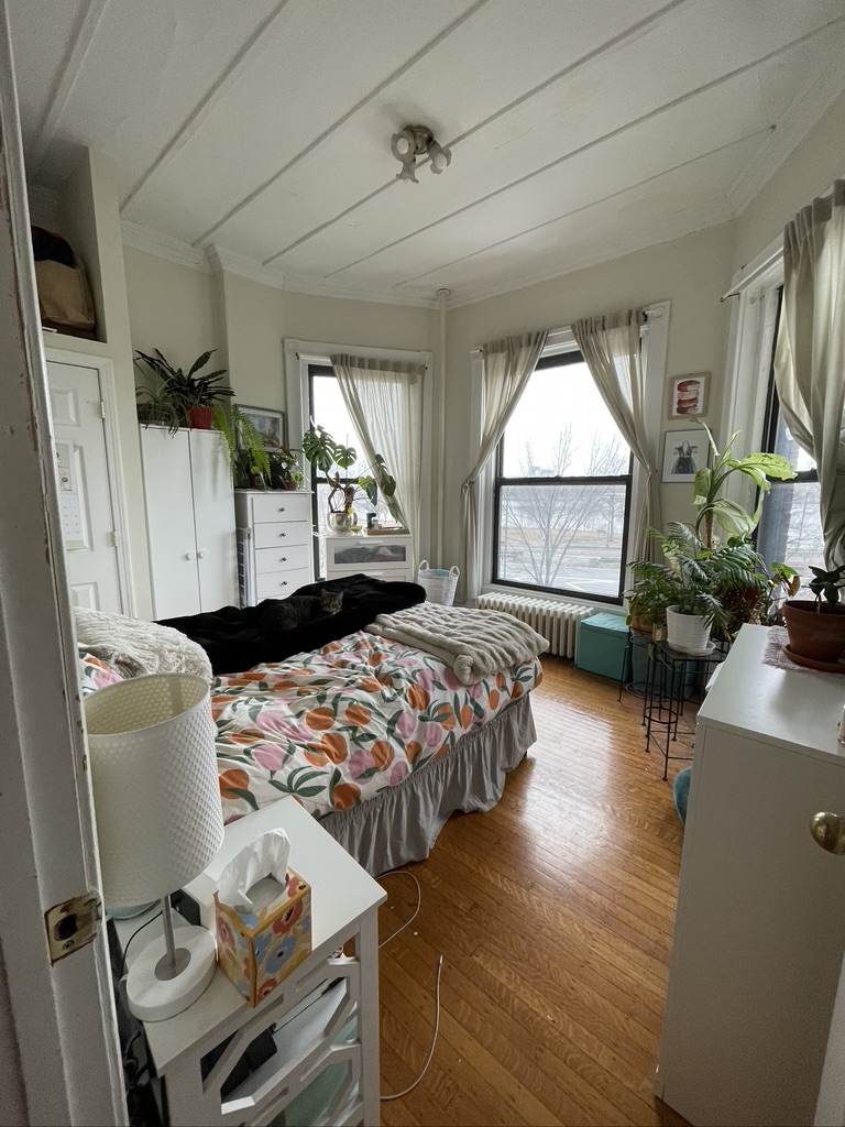 41 Bay State Rd, Fenway