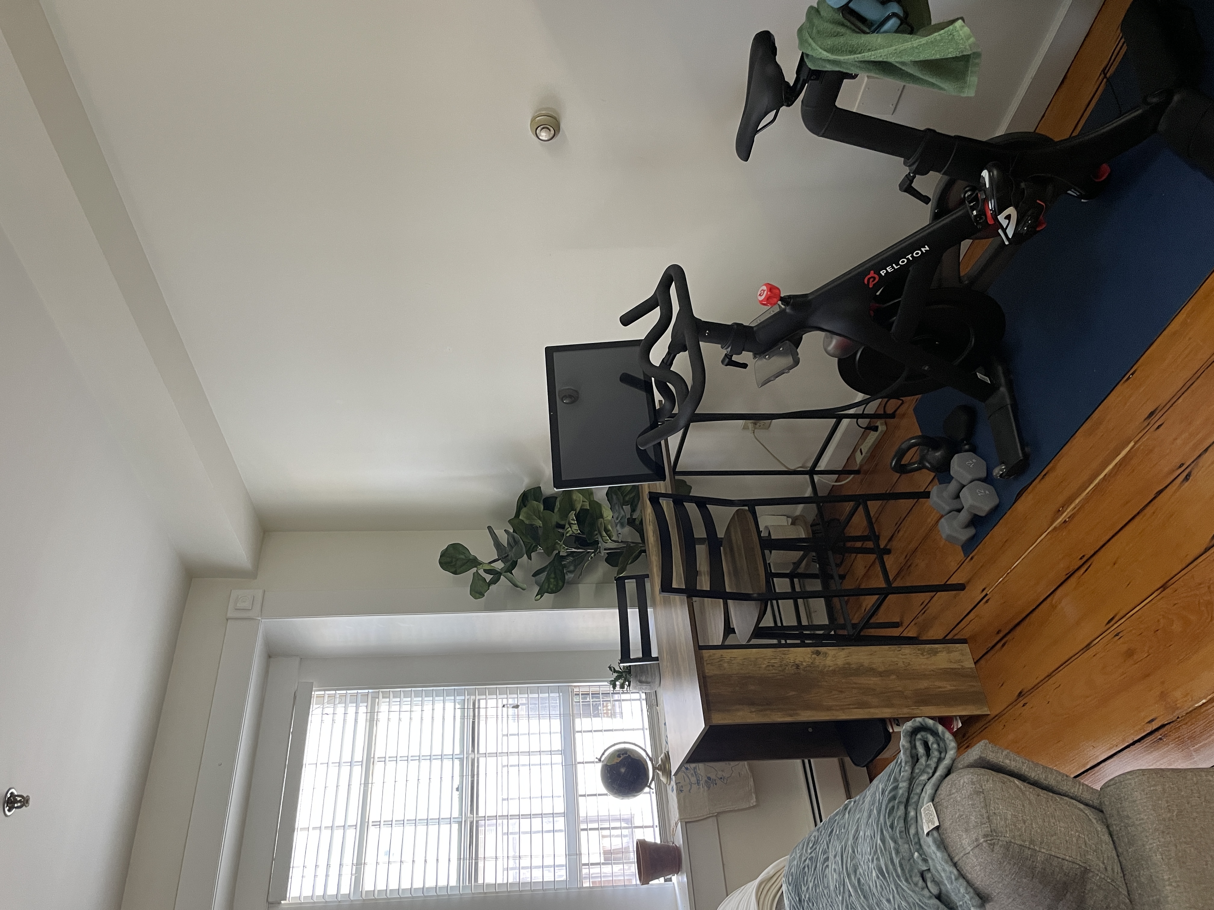 63 Hancock St, Beacon Hill