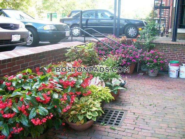 137 Bay State Rd, Fenway