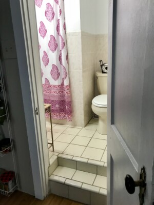 357 Windsor St, Wellington-Harrington