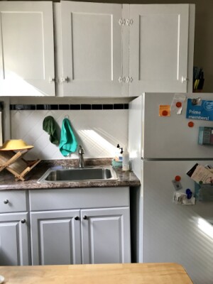 357 Windsor St, Wellington-Harrington