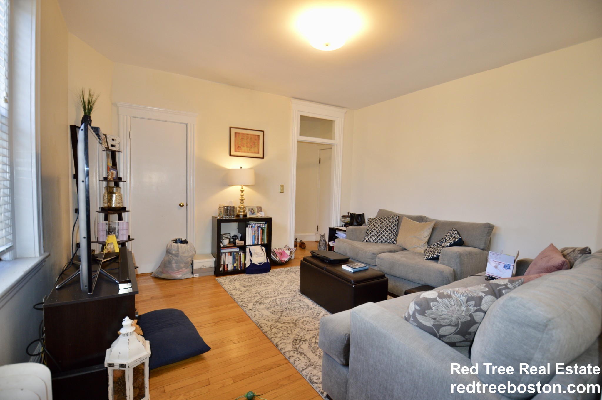 374 Chestnut Hill Ave, Brighton