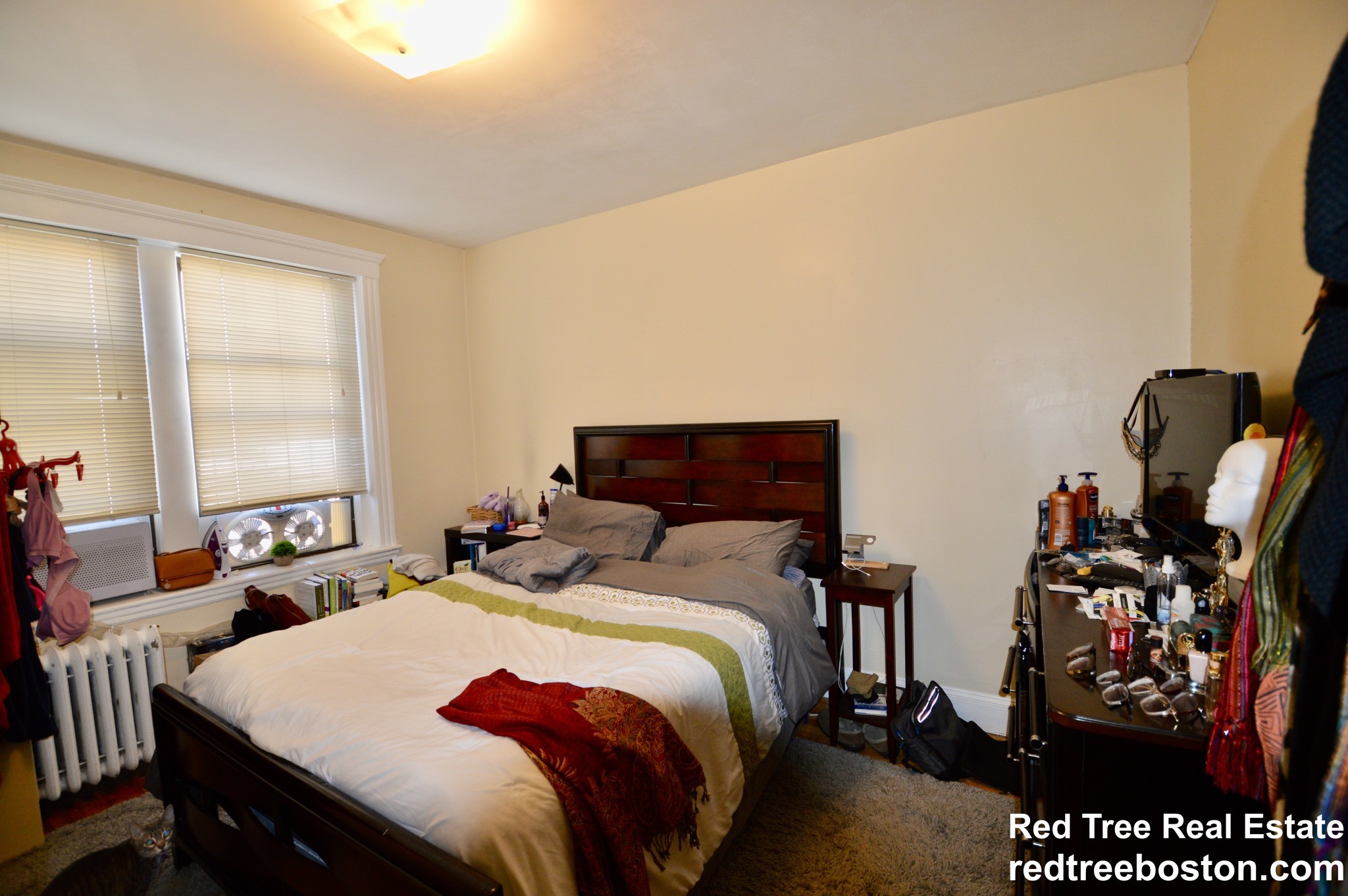 374 Chestnut Hill Ave, Brighton