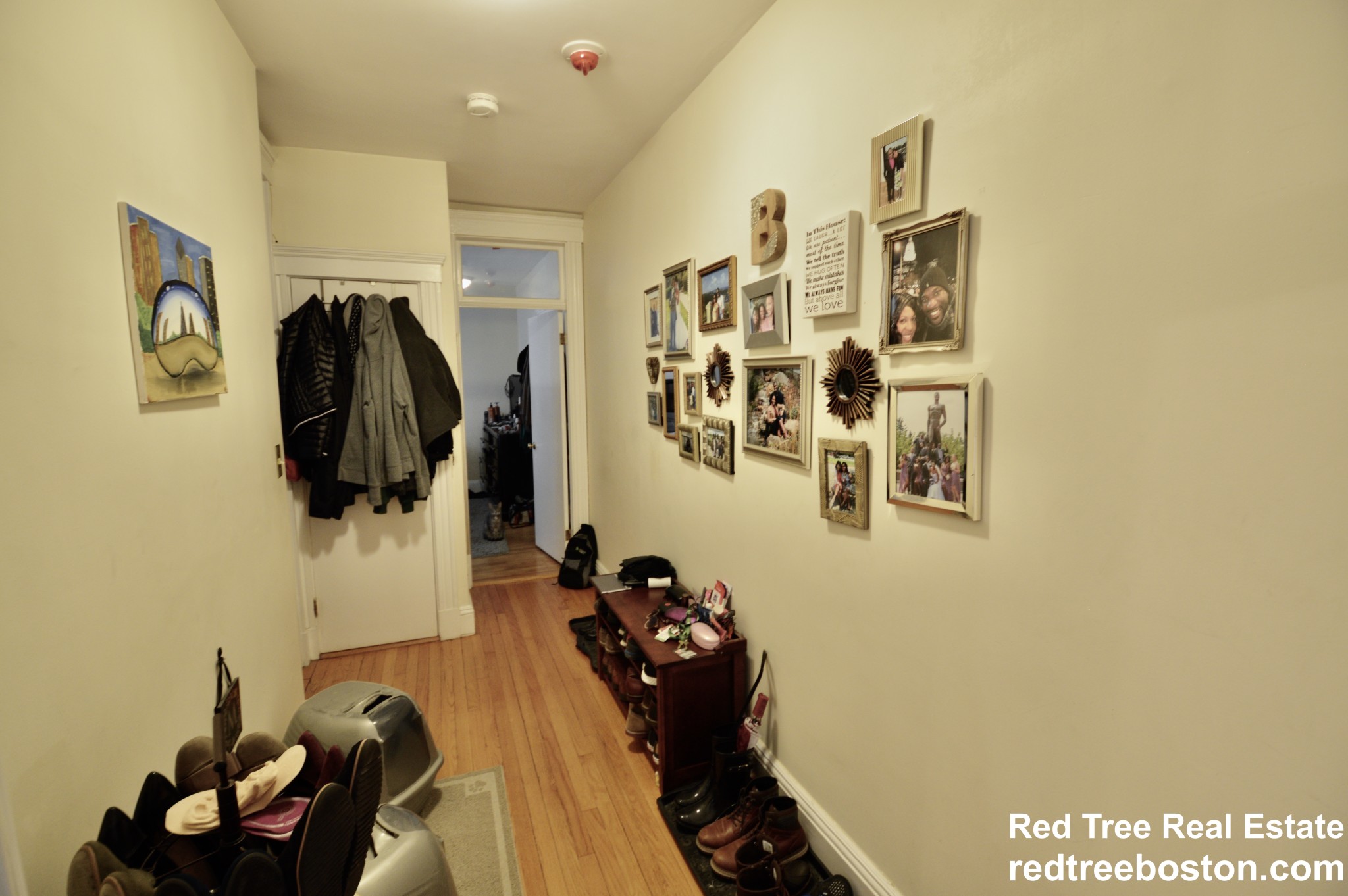 374 Chestnut Hill Ave, Brighton