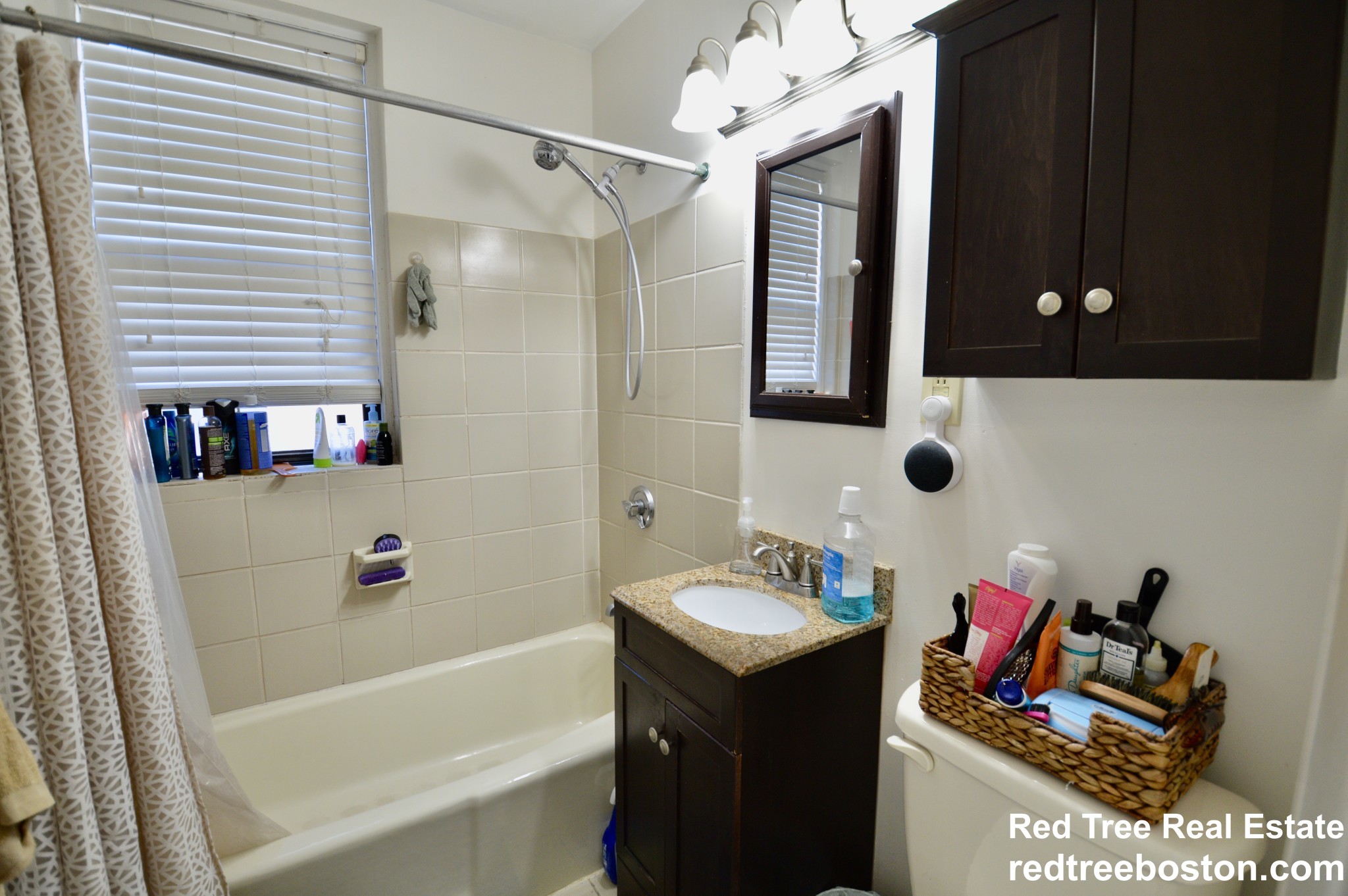 374 Chestnut Hill Ave, Brighton