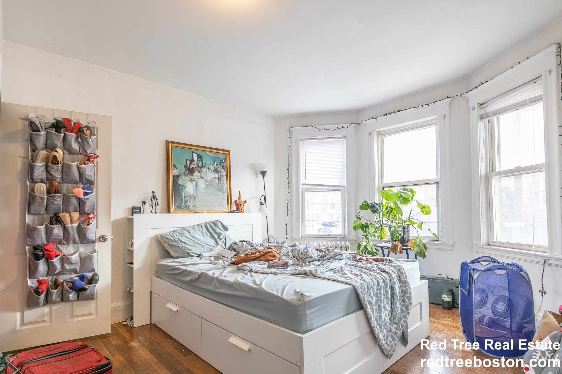 11 Ransom Rd, Allston