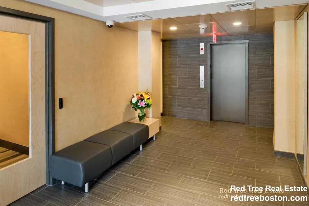 10 Camelot Ct, Brighton