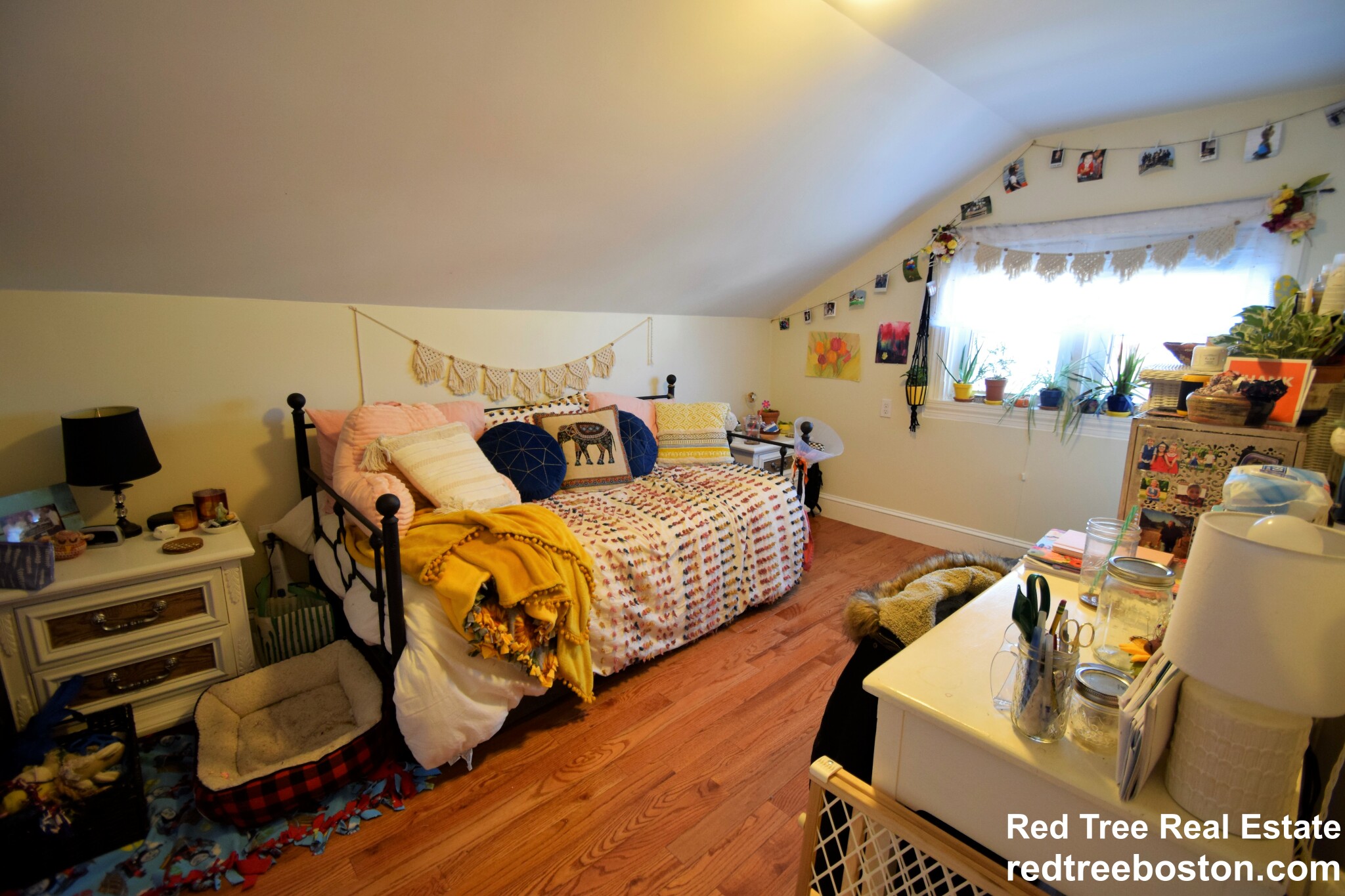 61 Shannon St, Brighton