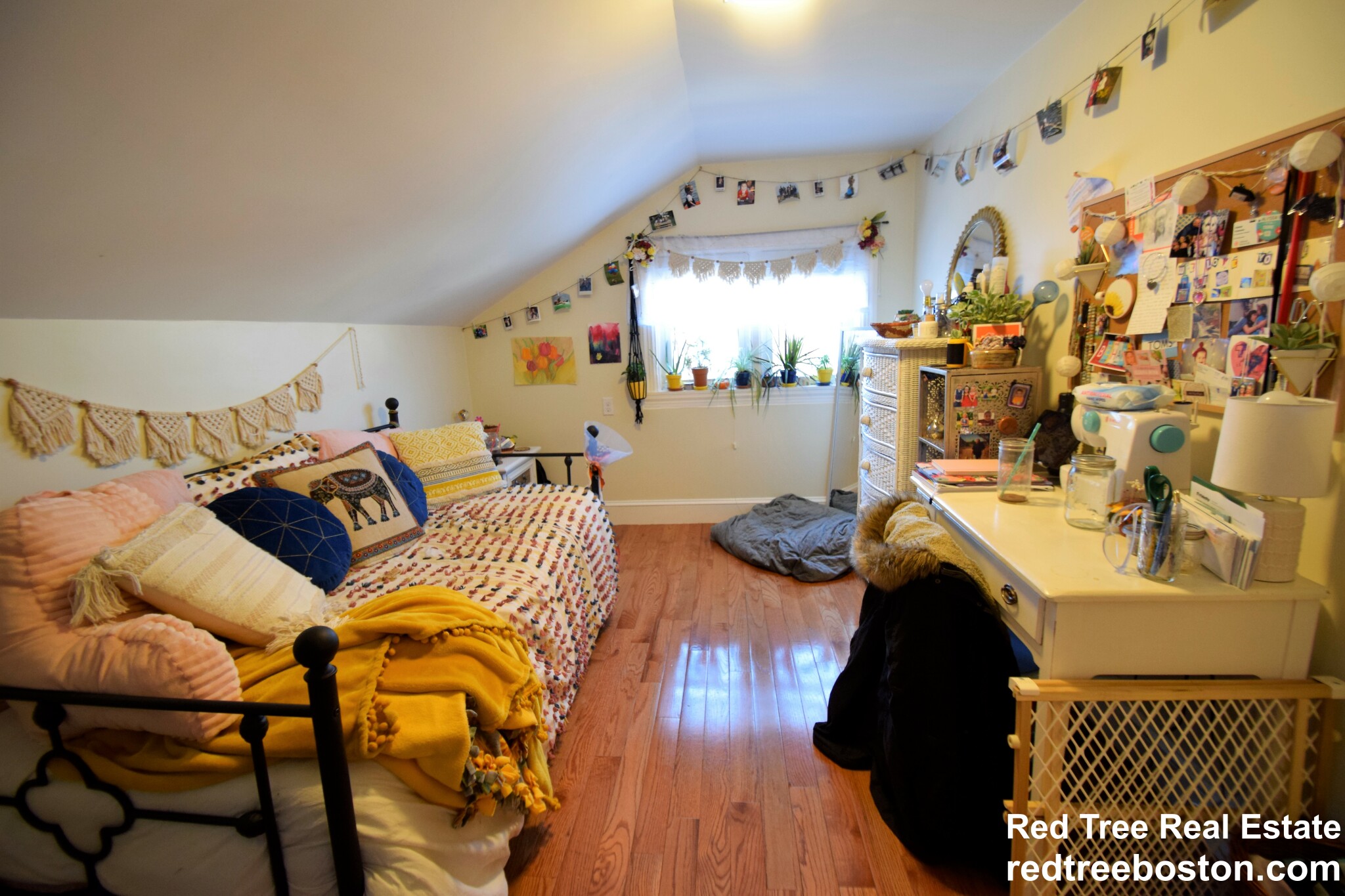 61 Shannon St, Brighton