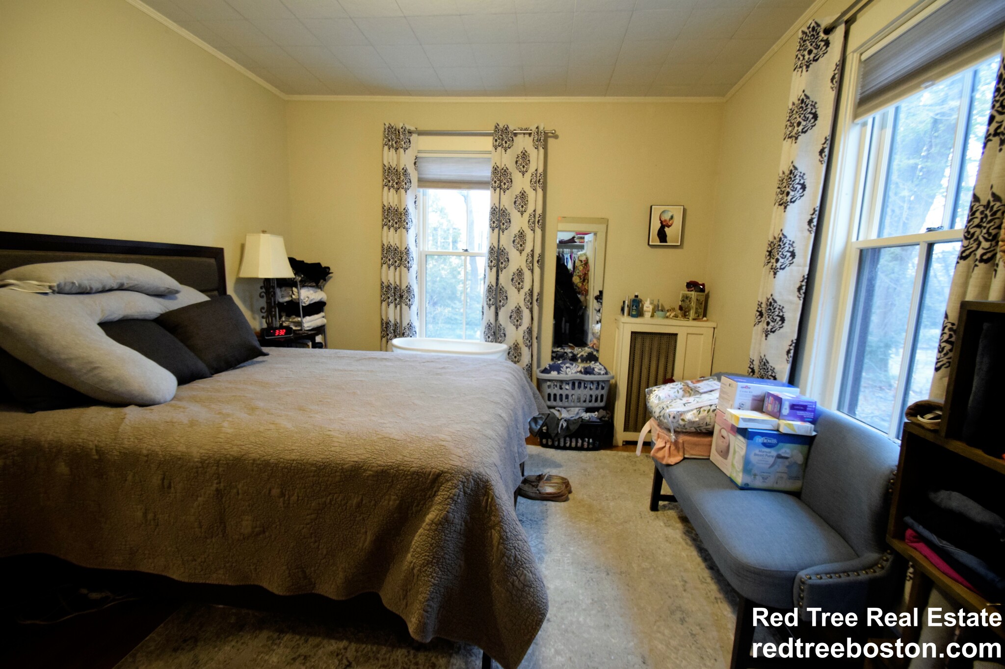 20 Fern St, Newton