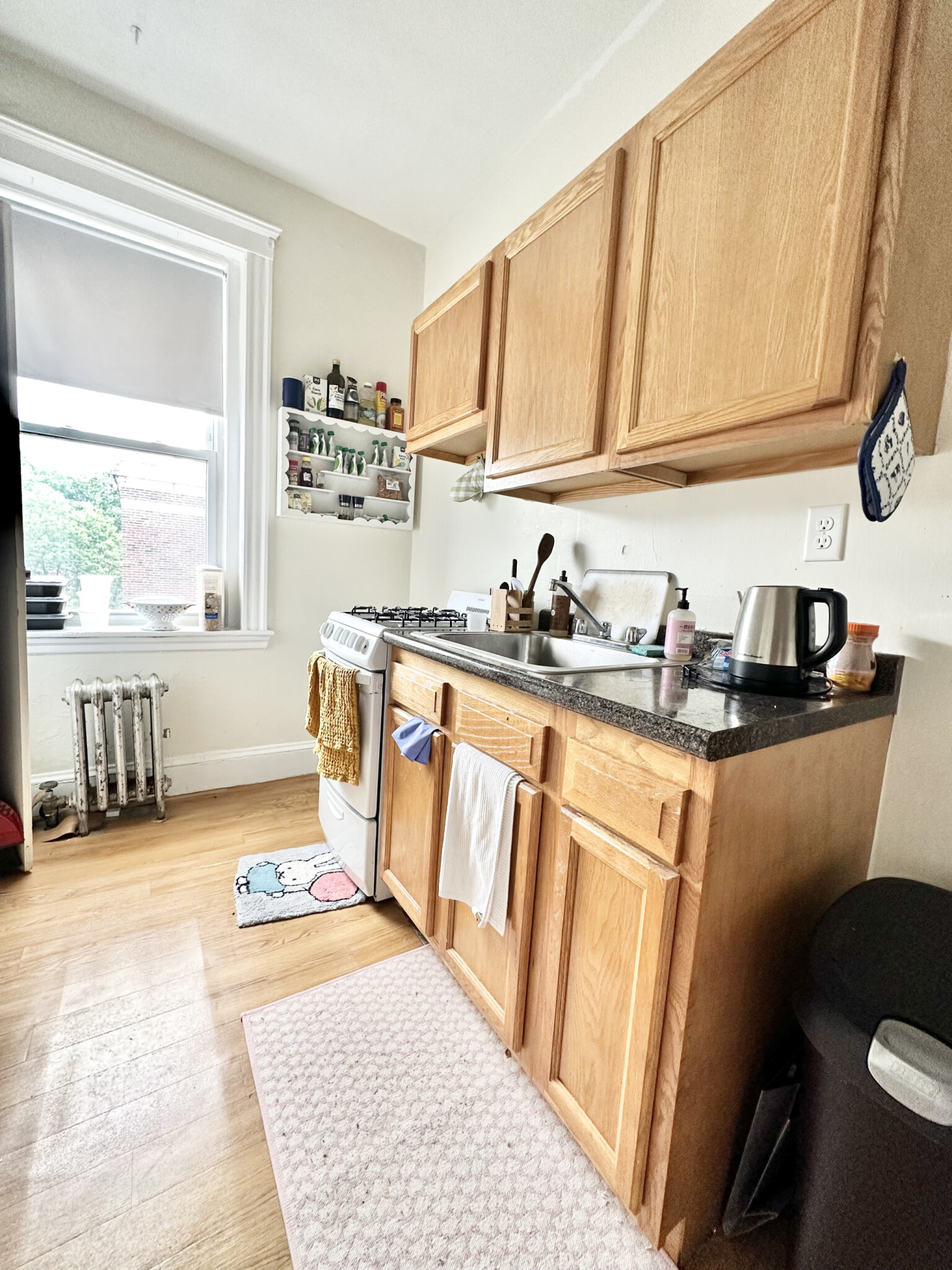 66 Chiswick Rd, Brighton