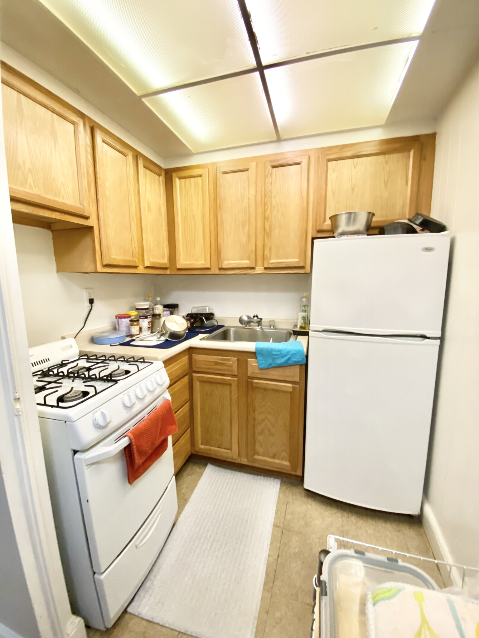 66 Chiswick Rd, Brighton